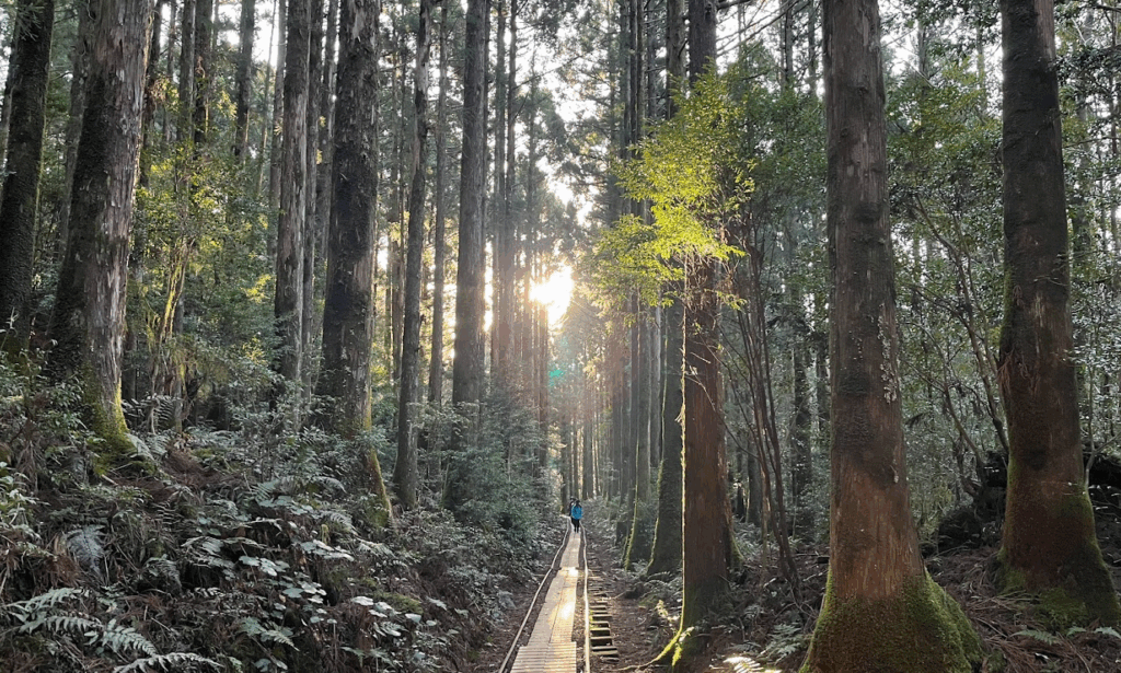 屋久島 ツーリング