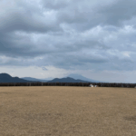 鹿児島　八重山公園