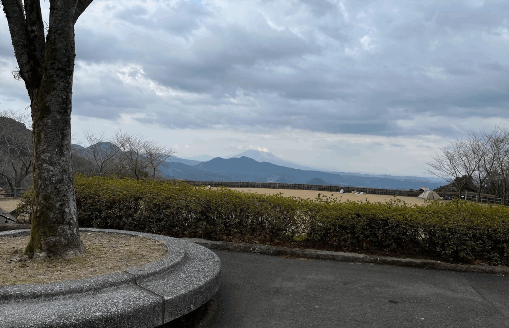 八重山公園 キャンプ