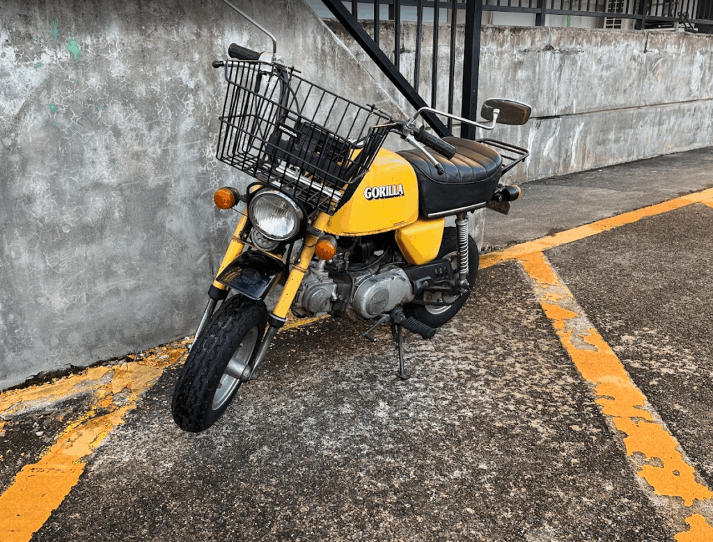 ゴリラ　Z50J