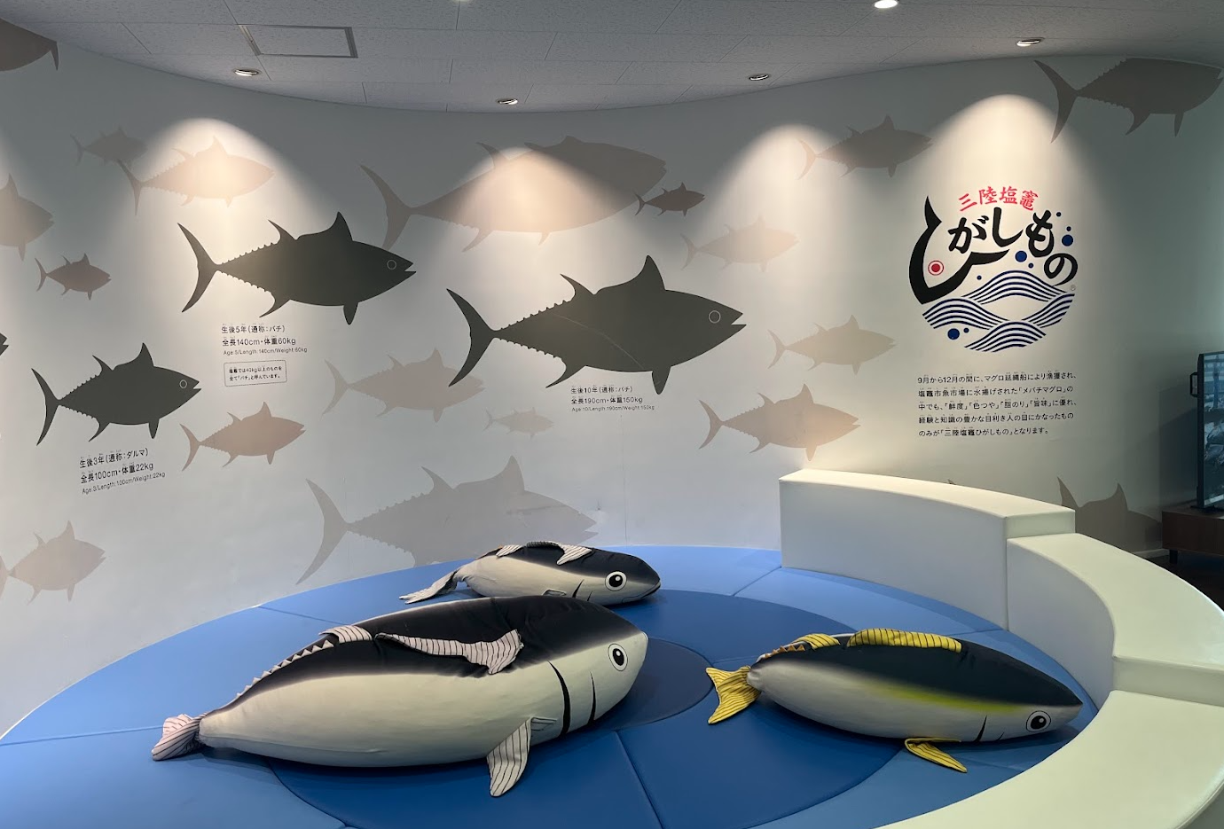 塩竃市魚市場