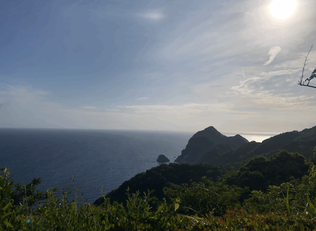 伊豆半島
