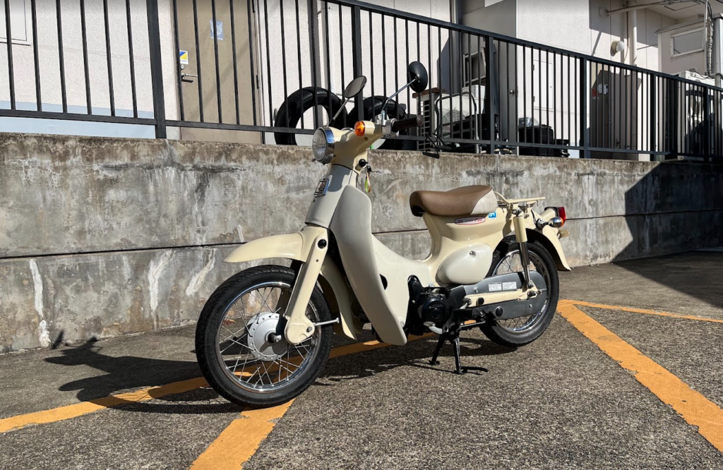 亀岡　リトルカブ