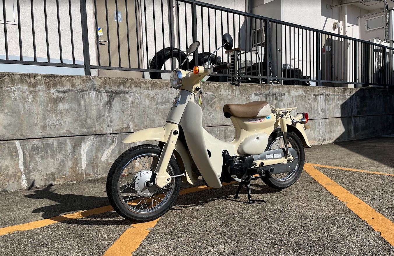 亀岡　リトルカブ
