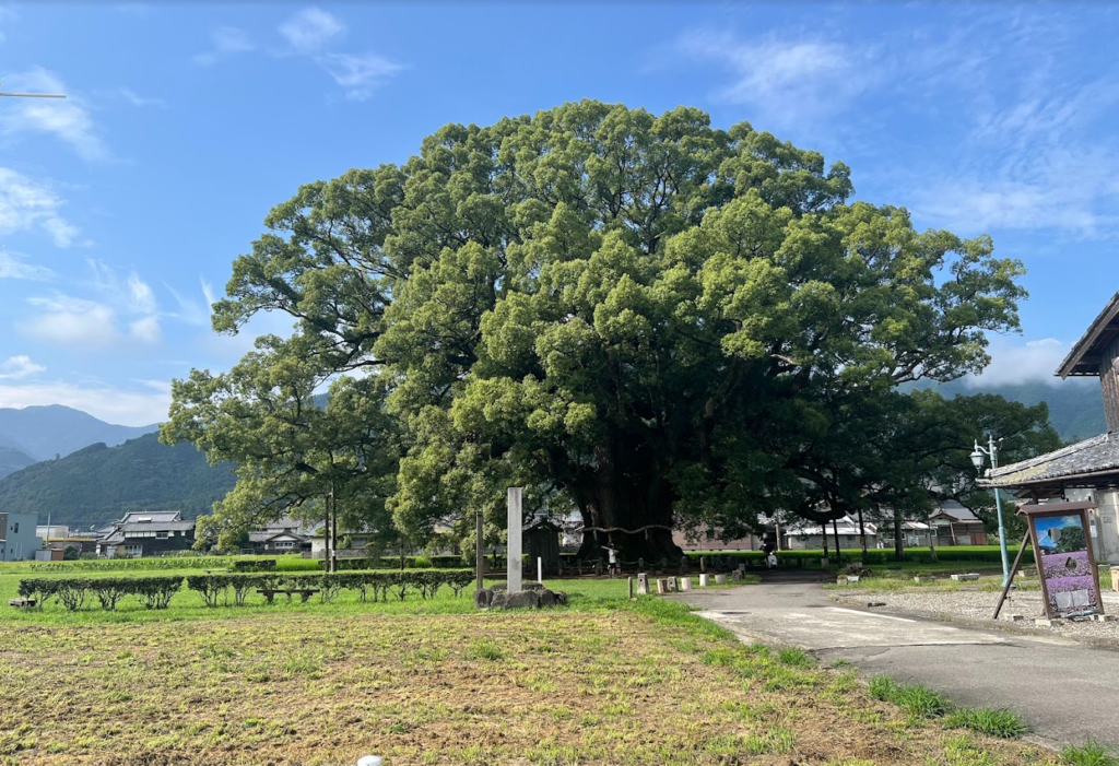 徳島 穴場スポット